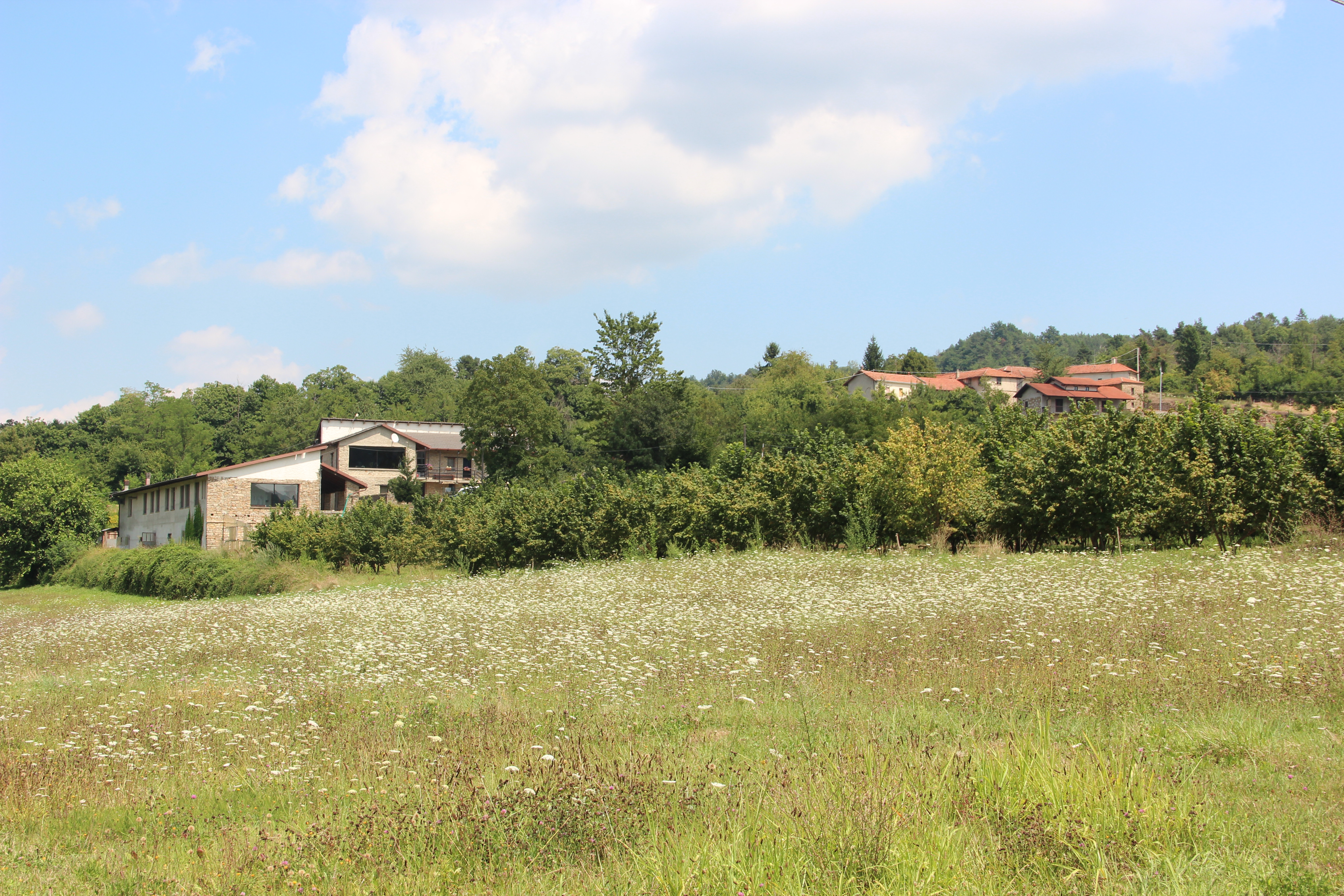 fabbrica meraviglie